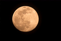 crw_4653