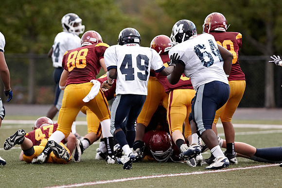 131Lmjv10-13-11