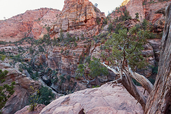 054NP9-29-20