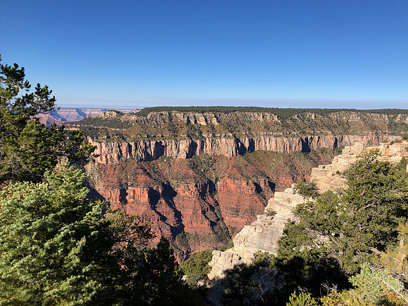 iPhoneX_3463