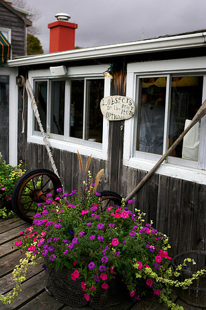 new england cruise8971