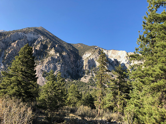 iPhoneX_3522