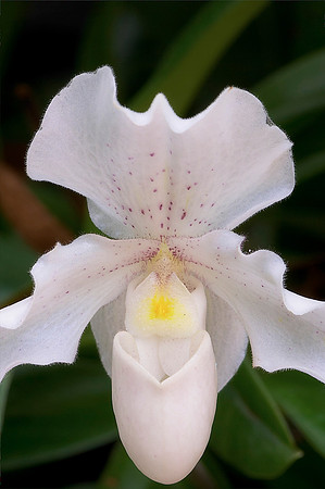 CRW_5098