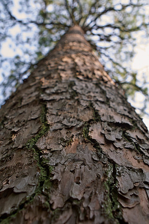 CRW_2688