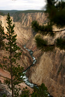 CRW_3502