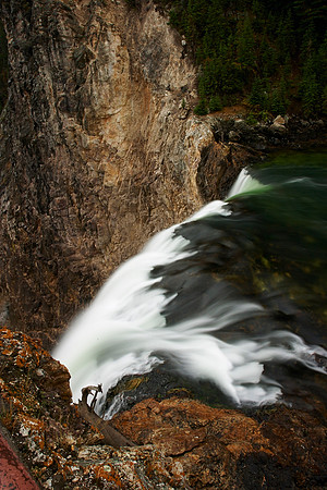 CRW_3533