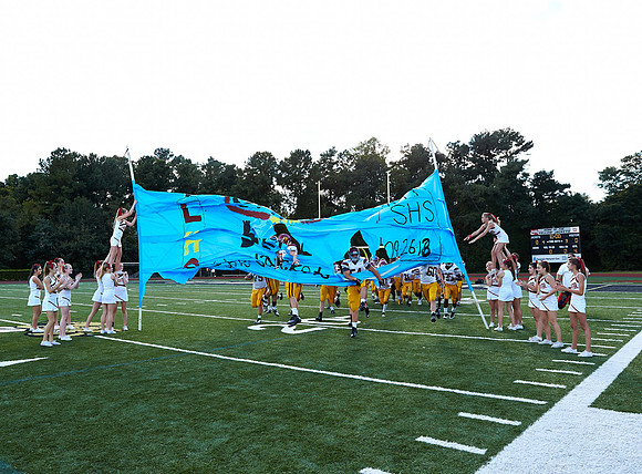 036LjvS9-26-13