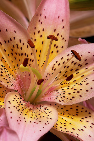 CRW_5094-1