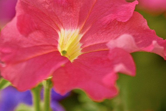 crw_5668