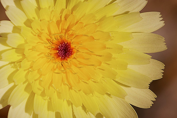 crw_5444 1