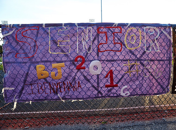 009LP10-30-15