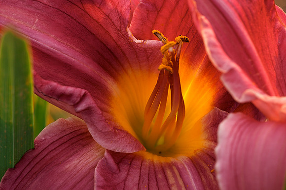 CRW_2901