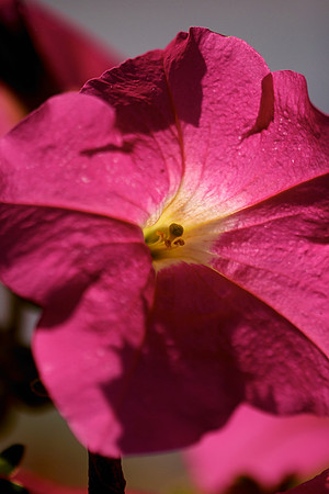 crw_5614
