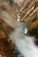CRW_3536