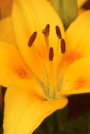 CRW_5132-1