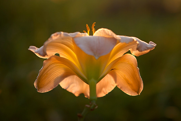CRW_3058
