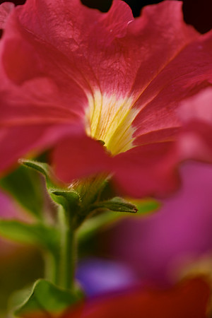 crw_5677