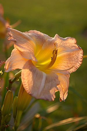 CRW_3042