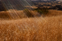 CRW_3456