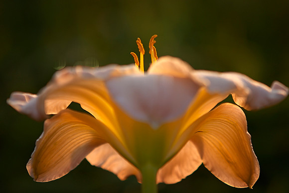 CRW_3062