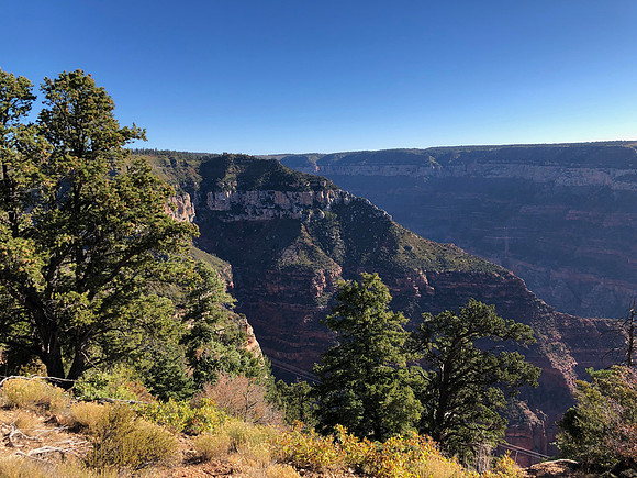 iPhoneX_3460