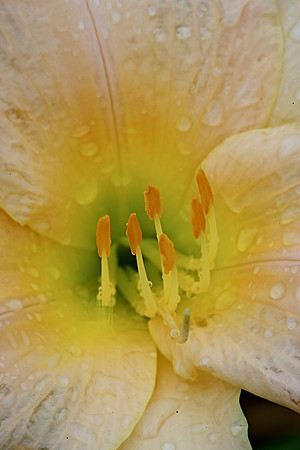 _t5w5787