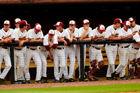 2014 BASEBALL