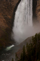 CRW_3511
