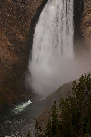 CRW_3511