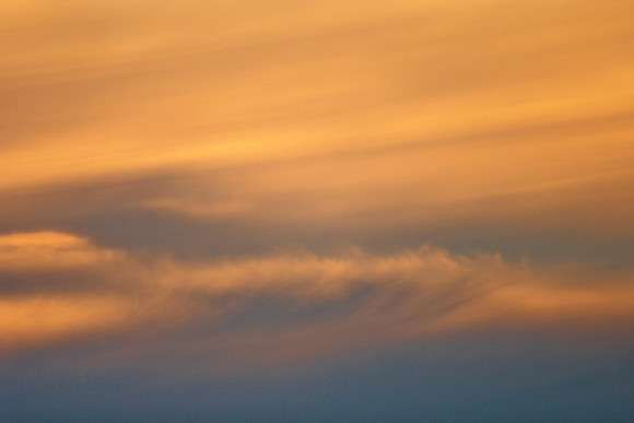 crw_4631